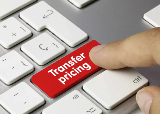 How Transfer Pricing Consulting Services Help Businesses Stay Secure From Tax Risks